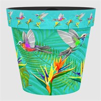 Creekwood 22cm Zest Garden Pot Hummingbird (8ZESTHB)