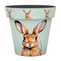 Creekwood Zest Garden Pot Hare 15cm (6ZESTHR)