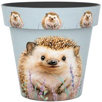 Creekwood Zest Garden Pot Hedgehog 38cm (15ZESTHH)