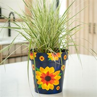 Creekwood Zest Pot Sunflower 22cm (8ZESTSF)