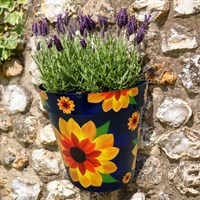 Creekwood Zest Wall Pot Sunflower 23x25cm (ZESTWPSF)