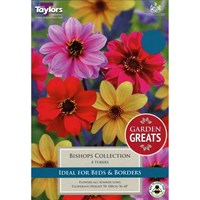 Taylors Bulbs Dahlia Bishops Collection (4 Pack) (SV300)