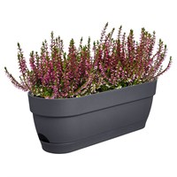 Elho Vibia Campana Trough All In 1 50cm Anthracite (3741805042500)