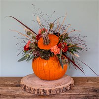 Fallen Leaves Pumpkin Arrangement