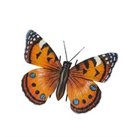 Fountasia Orange Butterfly Hanging Wall Art- Small (440000)