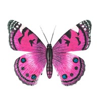 Fountasia Pink Butterfly - Medium Wall Hanger (440018)