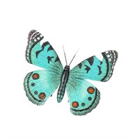 Fountasia Turquoise Butterfly Hanging Wall Decoration - Small (440015)