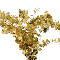 Gold Sprayed Eucalyptus Cinerea (x8 Individual Stems)