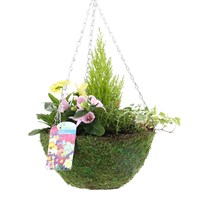 Hanging Seasonal Bedding Feather Moss Basket 12 Inches - Autumn
