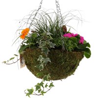 Hanging Seasonal Bedding Feather Mossed Basket 12 inches - Spring