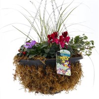 Hanging Seasonal Bedding Mossed Basket 12 inches - Spring