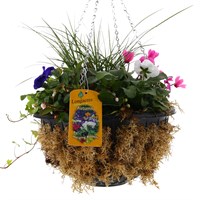 Hanging Seasonal Mossed Bedding Basket 12 Inches - Autumn