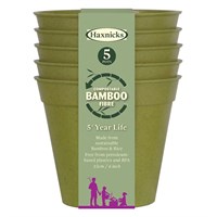 Haxnicks 6 Inch (15cm) Bamboo Biodegradable Pot (5 Pack) Sage Green (Pot130101)