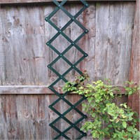 Honeysuckle 6ft x 1ft Green Riveted Trellis (7710)