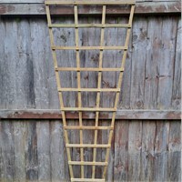 Honeysuckle 6ft x 3ft Natural Fan Trellis (1363)