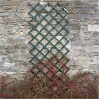Honeysuckle 6ft x 4ft Green Riveted Trellis (7740)