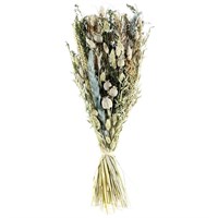 Ixia Dried Flower Bouquet Arrangment - Elm (DRI053)