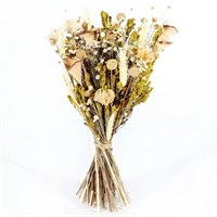 Ixia Dried Flower Bouquet Arrangment - Meadow (DRI050)