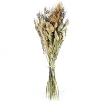 Ixia Dried Flower Bouquet Arrangment - Reid (DRI059)