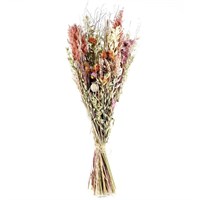 Ixia Dried Flower Bouquet Arrangment - Savanna (DRI058)
