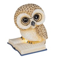 Kaemingk 24.5cm Owl on Book Light Up Christmas Decoration (480892)