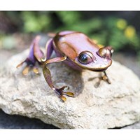 La Hacienda Dart Rainforest Retreat Frog Metal Garden Ornament (55726)
