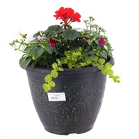 Linden Seaconal Bedding Planted Container 11 Inches - Summer