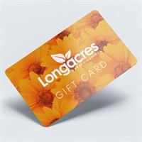 Longacres Garden Centre Gift Card - Orange Gerbera