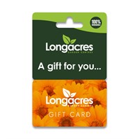 Longacres Garden Centre Gift Card - Orange Gerbera