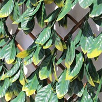 Mercer 100 x 200cm Laurel Leaf Garden Trellis (YOJ-828)