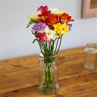 Mixed Freesia Letter Box Flowers