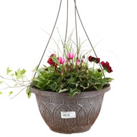 Monaco Decorative Hanging Pot 25cm Autumn Mixed Bedding