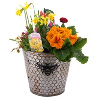 Mother's Day Planted Honeycome Bee Bedding & Bulb Container