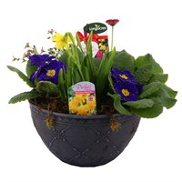 Mother's Day Planted Round Grey Patterned Bedding & Bulb Bowl