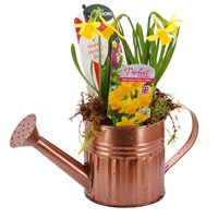 Mother's Day Small Copper Watering Can Bulb Planter