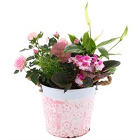 Mother's Day Pale Pink Metal Houseplant Tin