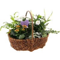 Mother's Day Sussex Trug Wicker Houseplant Basket