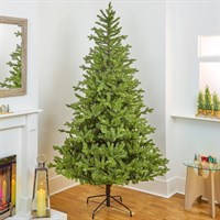 National Tree 2m (6.5ft) Hartford Fir Artificial Christmas Tree (PEHRT-500-65)