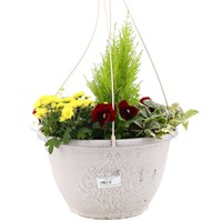 Nester Decorative Hanging Pot 32cm Autumn Mixed Bedding