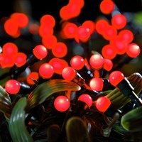 Noma 100 Fit & Forget Red LED Berry Battery Christmas Lights (6826197)