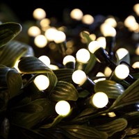 Noma 50 Fit & Forget Warm White LED Berry Battery Christmas Lights (6826193)