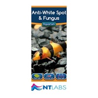 NT Aquarium Anti-White Spot & Fungus 100ml Fish Treatment Aquatic