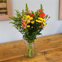 Orange and Yellow Letter Box Flowers