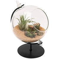 Panacea Desktop Glass Terrarium Planter & Metal Stand (82149)