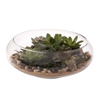 Panacea Glass Flat Terrarium Tabletop Bowl Planter (82148)