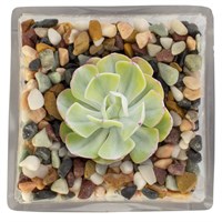 Panacea Mixed River Rocks, Pot Toppers 2.2Kg (77521)