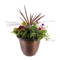 Planted Acorn Pot Seasonal 10 inches Outdoor Bedding Container - Autumn