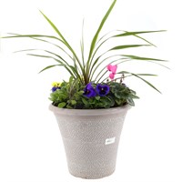 Planted April Round 14 inch Outdoor Bedding Container - Autumn