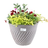 Planted Bali Round 12'' Seasonal Container - Autumn