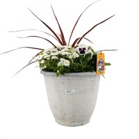 Planted Birch Round 14 inch Outdoor Bedding Container- Autumn
